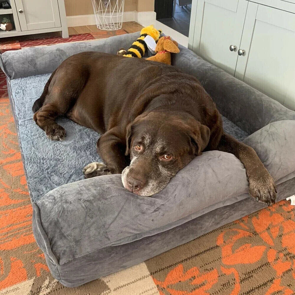 Calming Orthopedic Memory Foam Dog Bed with Waterproof Removable Cover