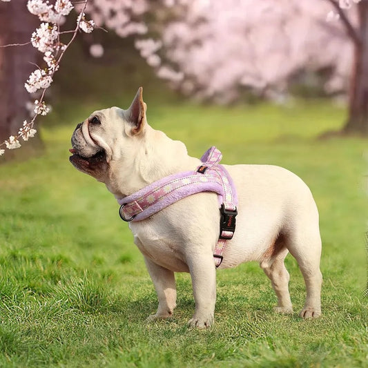 Comfortable No Pull Dog Harness