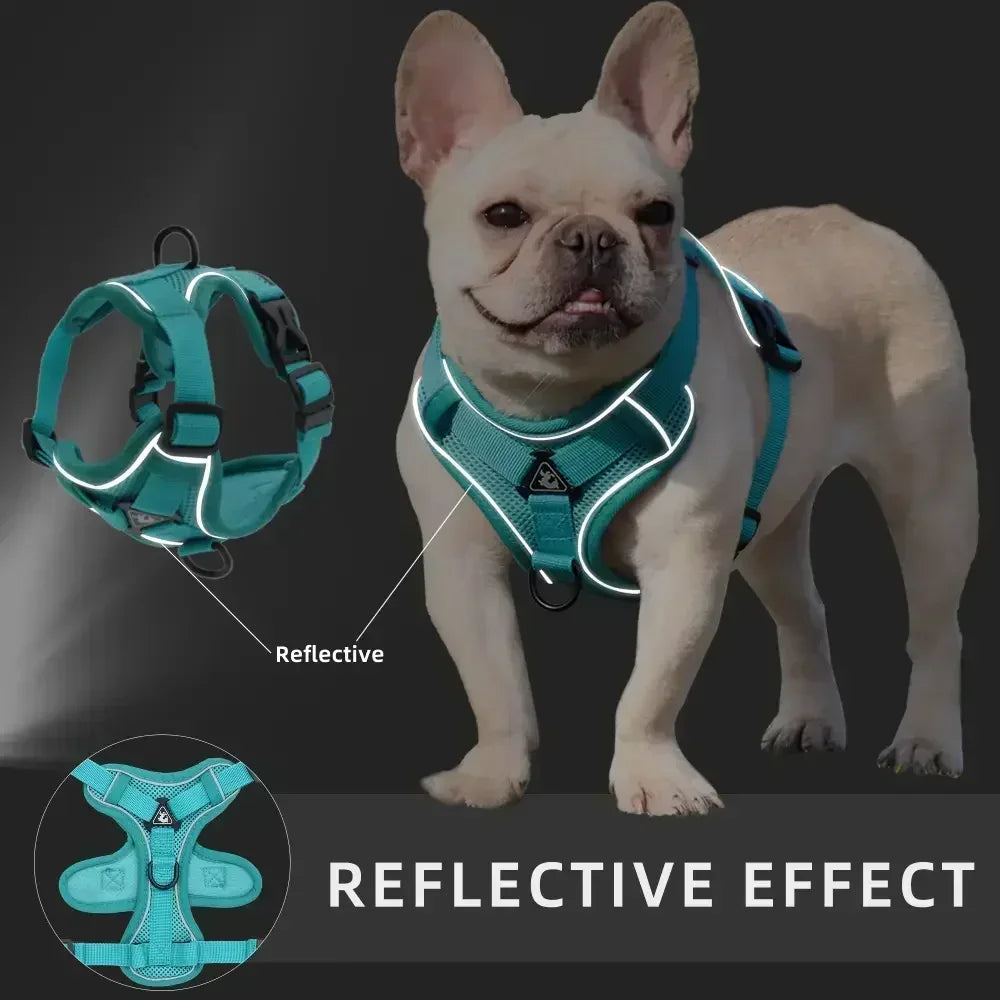 Adjustable No Pull Harness and Leash Set