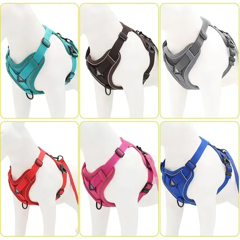 Adjustable No Pull Harness and Leash Set