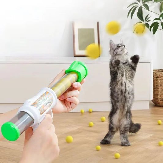 Interactive Launch Training Cat Toy
