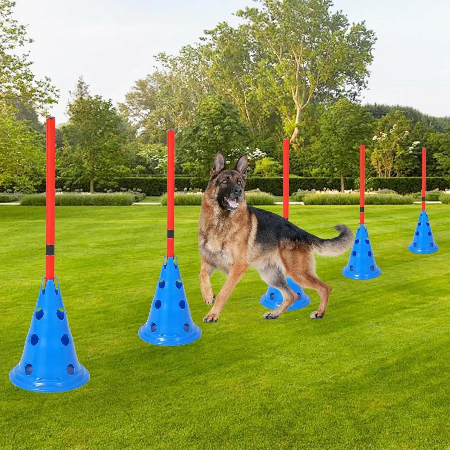 Hurdle Cone Set with 12 Cones 6 Rods Training Equipment