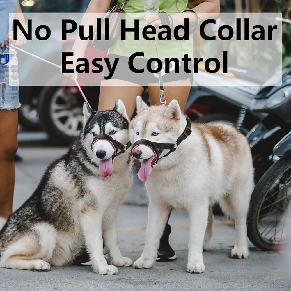 Adjustable No Pull Harness Durable Nylon Strap