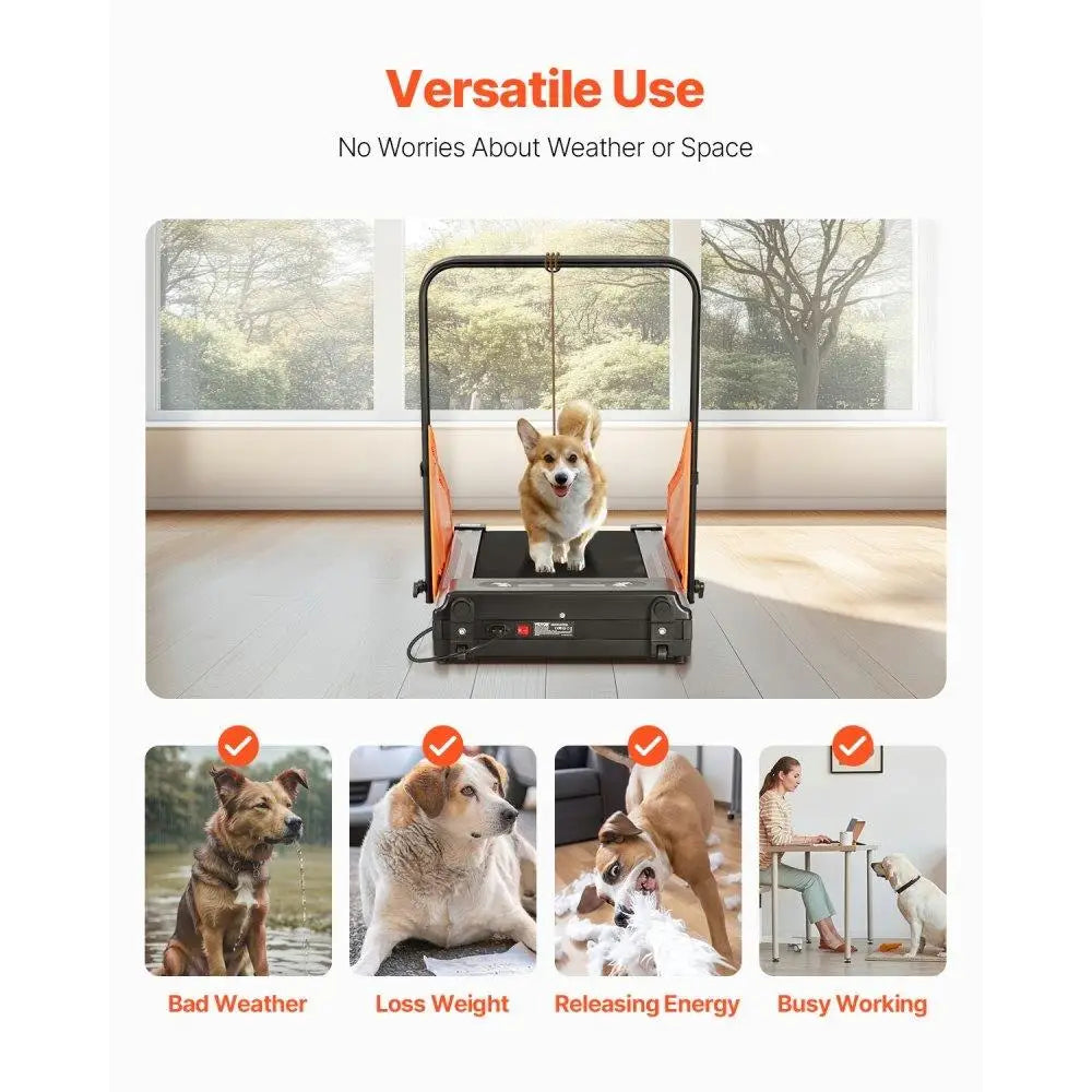 Electric Dog Treadmill for medium Dogs Supports Up To 200 lbs