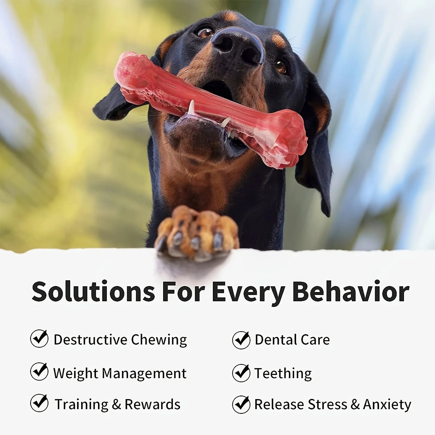 Durable sturdy, non-toxic natural rubber dog chew toy