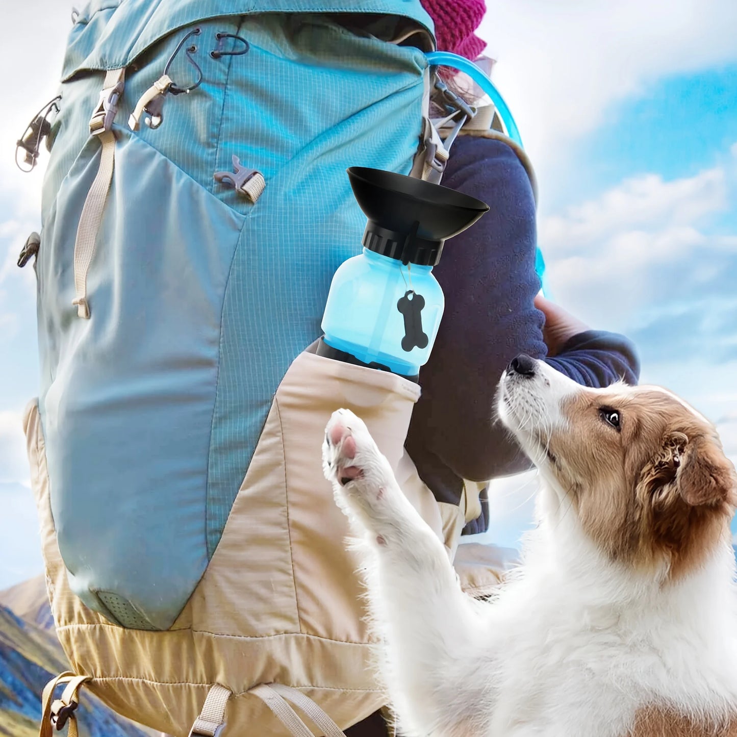 Portable Outdoor Travel Water Bottle