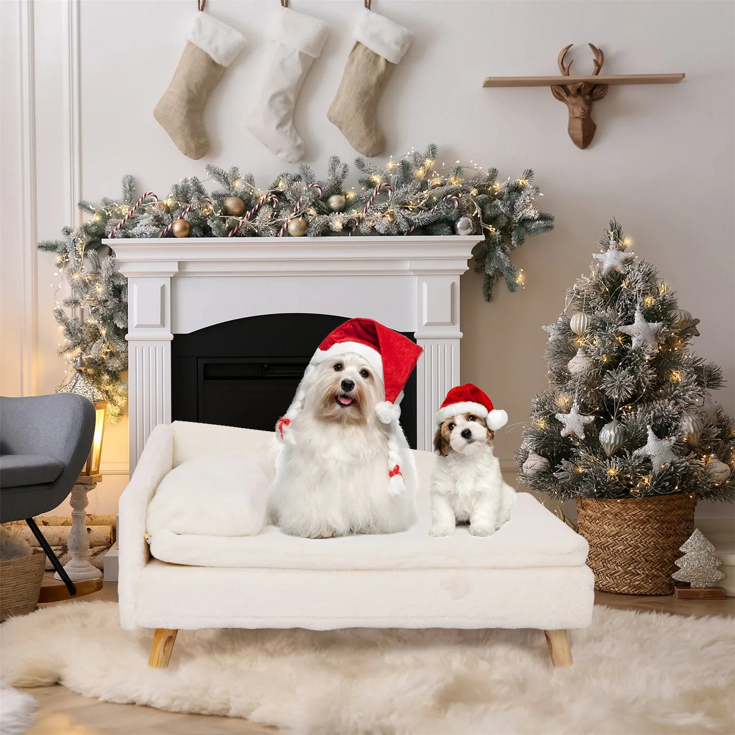 Elevated Pet Bed with Cozy Waterproof Pad, for Small Dog/ Kitten