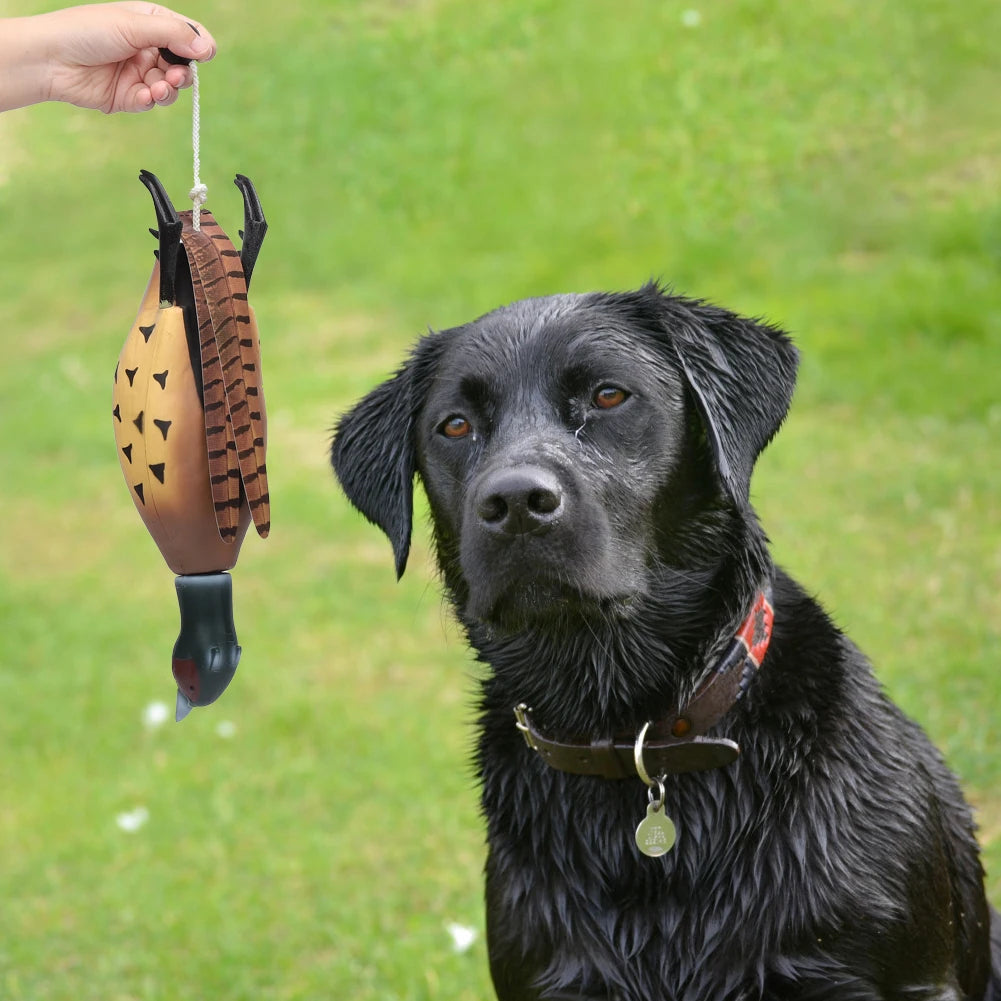 Multipurpose Fetch Toy For Training Dogs