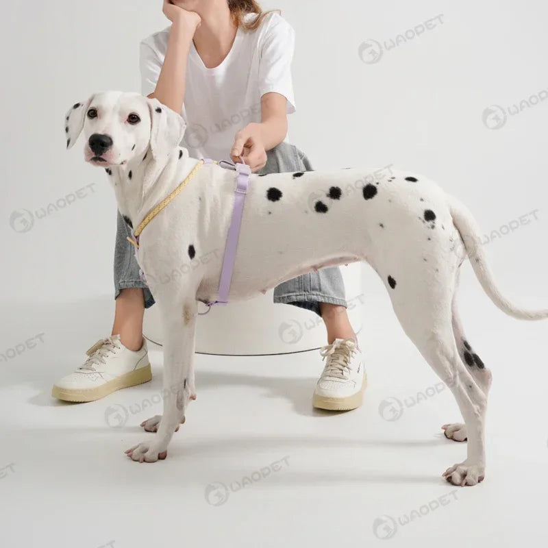 Summer Cooling Dog Harness