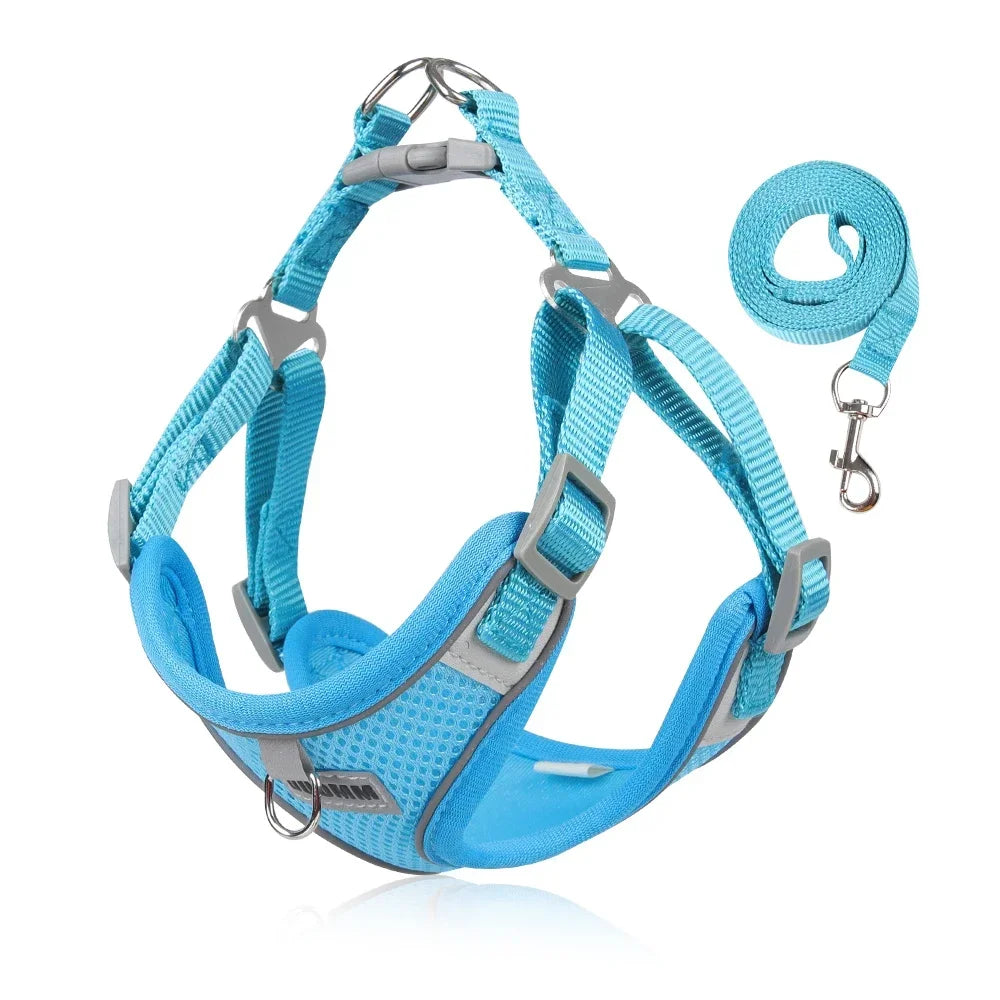 Harness Leash Set for Small Medium Dog