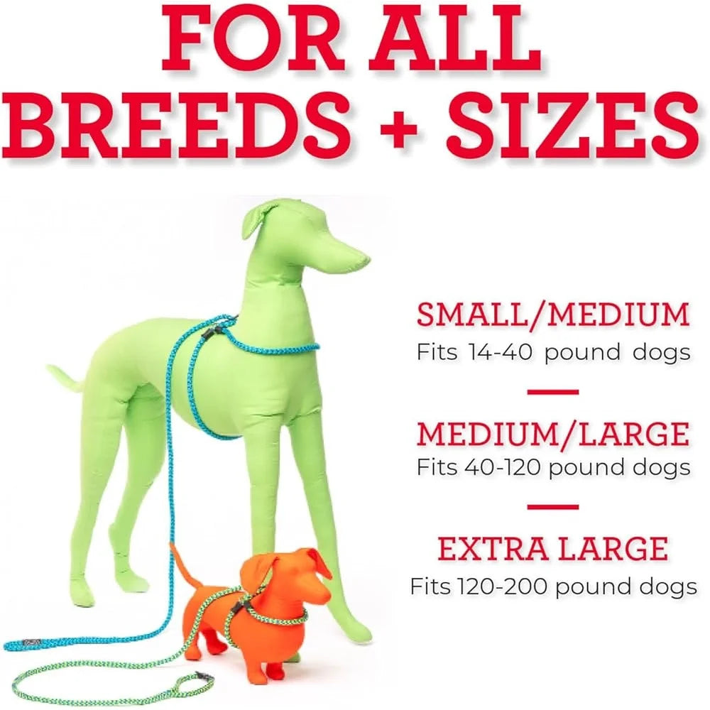 No Pull Dog Harness and Leash