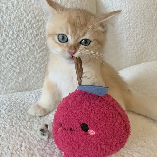 Interactive Plush Cat Toy