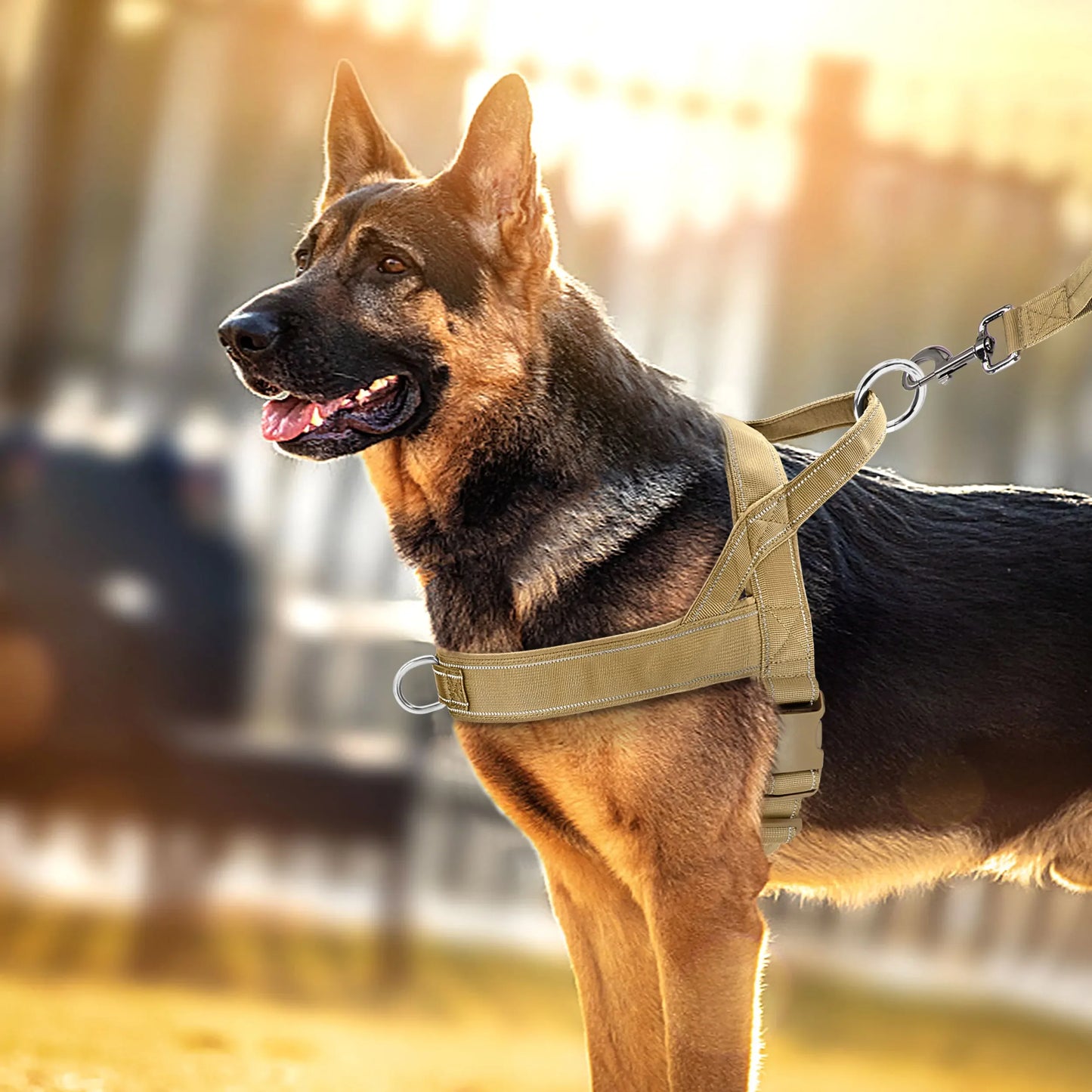 Durable No Pull Pet Harness with Reflective Handle