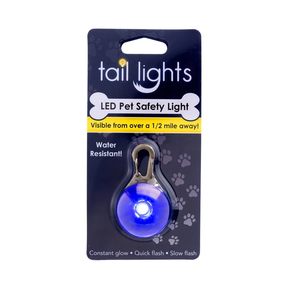 LED Light Visible Night Walking Safety Charm Dog Collar Multiple Colors