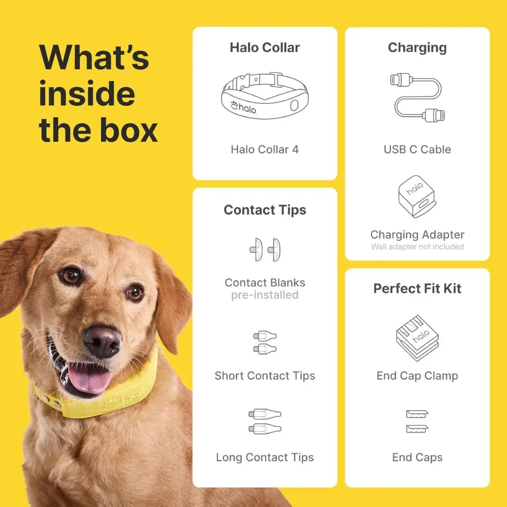 High quality Wireless Waterproof Dog Fence & Training Collar