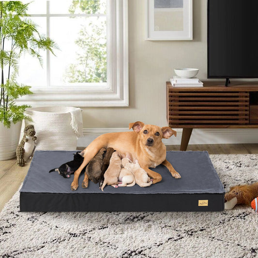 Orthopedic Dog Bed Waterproof Lining, and Non-Slip Bottom, Machine Washable