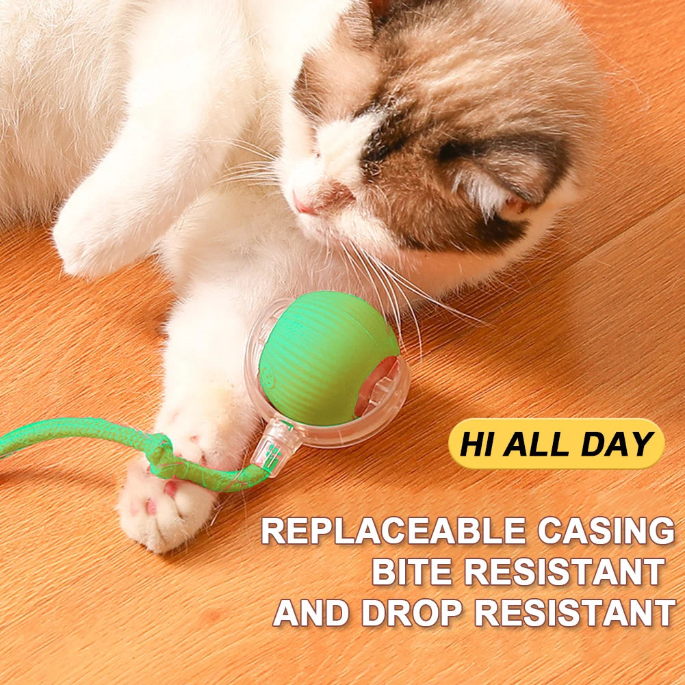 Interactive Rechargeable Self Rotating Ball