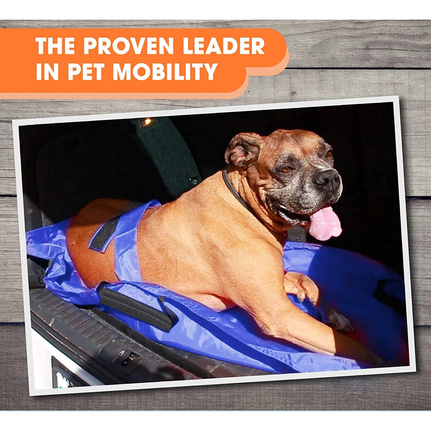Foldable Transport Stretcher