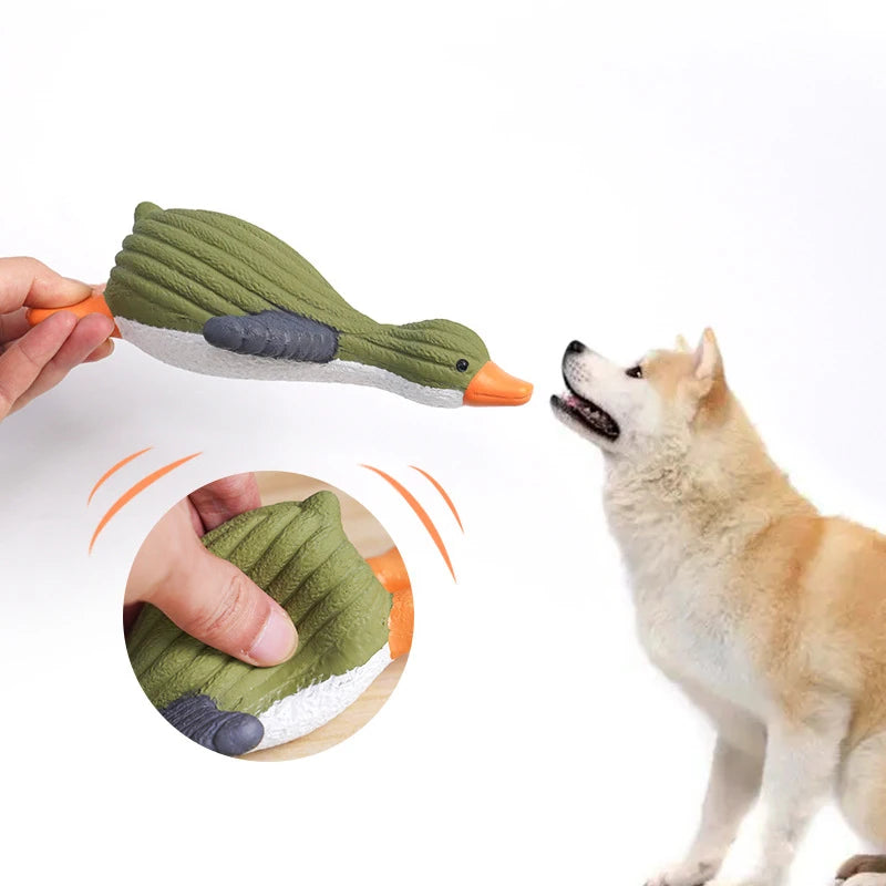 Bite Resistant Interactive Toy