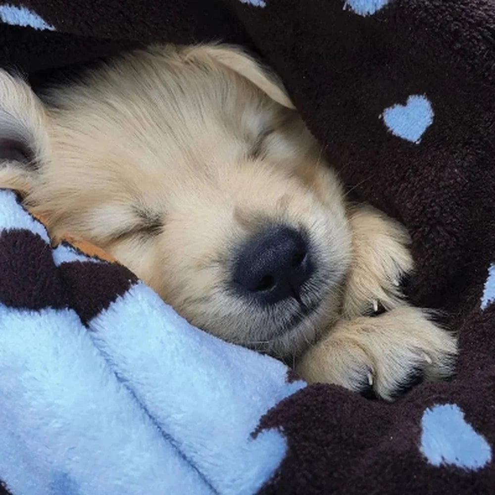 Durable Soft Cozy Machine Washable Pet Blanket