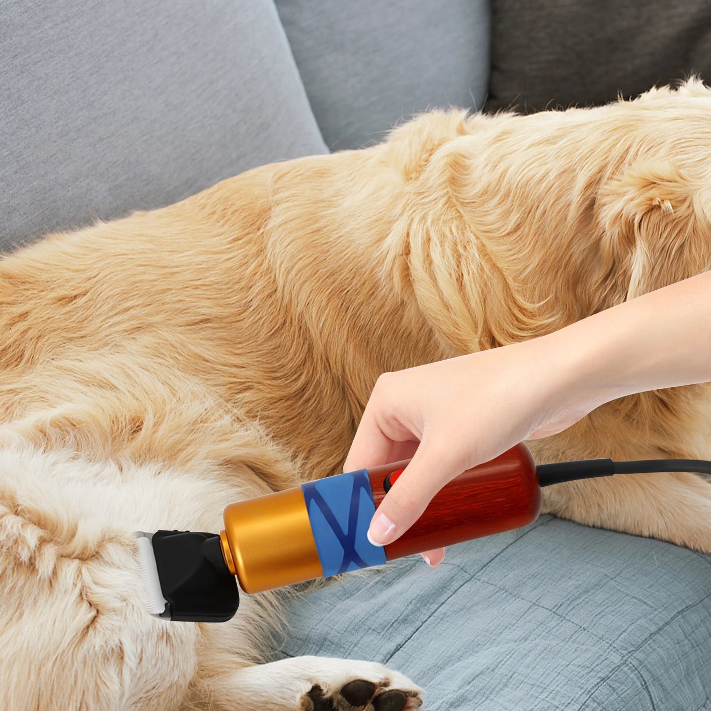 High-efficiency Low Noise Pet Hair Clippers