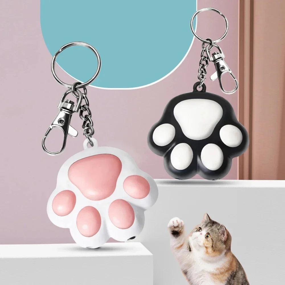 Rechargeable Laser Chaser Pet Toy