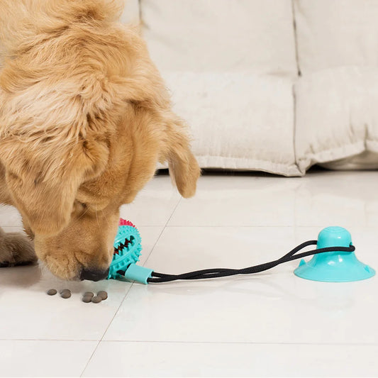 Silicon Suction Cup Tug Interactive Dog Ball