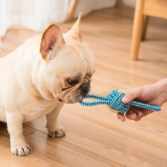 Interactive Cotton Rope Chew Toy