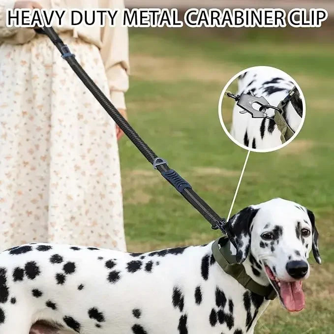 Heavy Duty No Pull Reflective Bungee Dog Leash with Car Seatbelt for Large Dogs