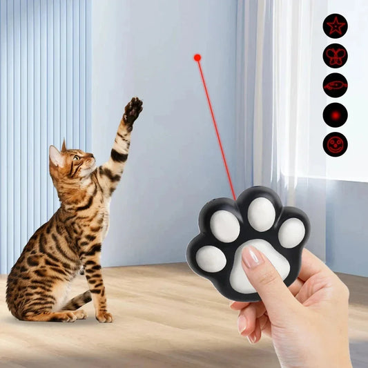 Rechargeable Laser Chaser Pet Toy