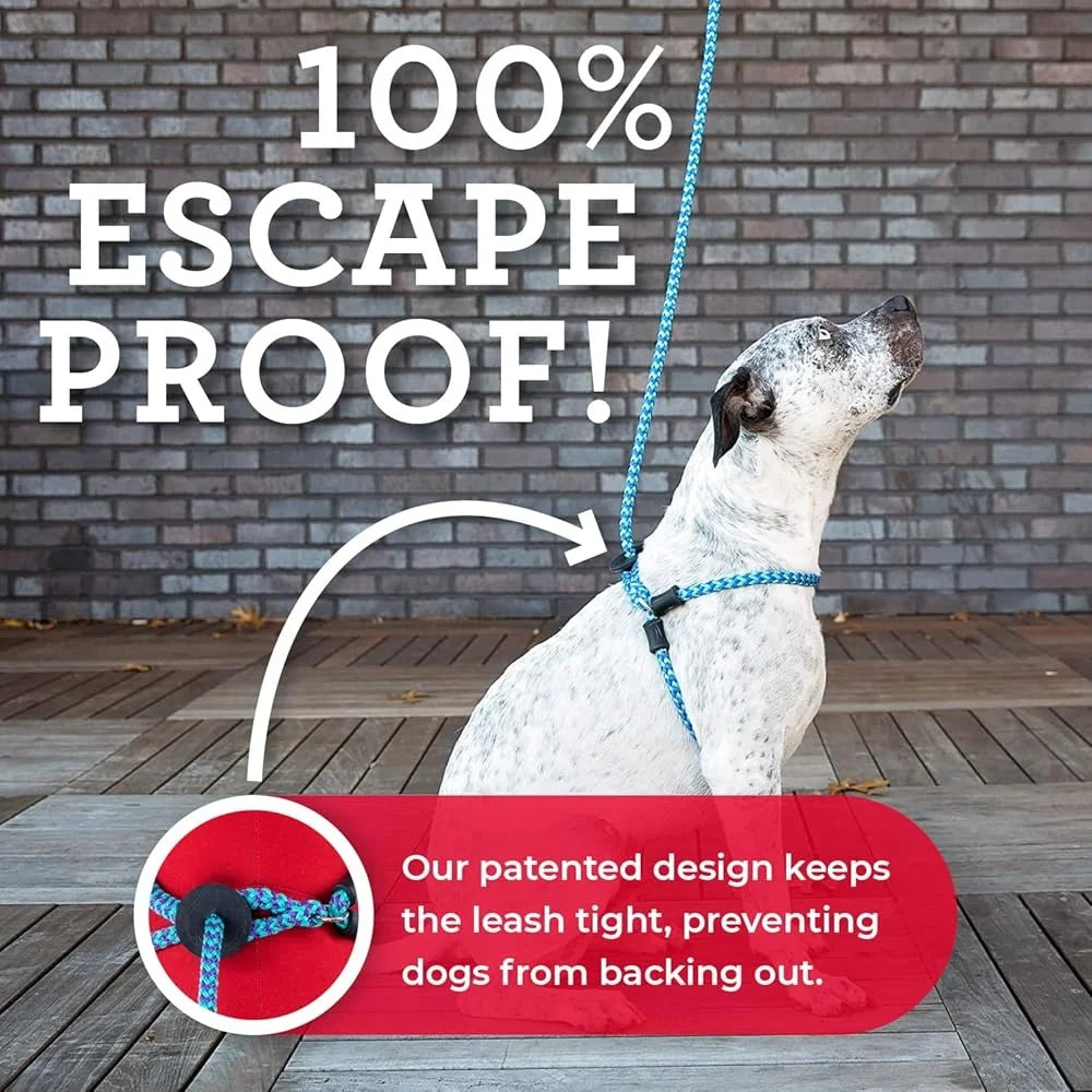 No Pull Dog Harness and Leash