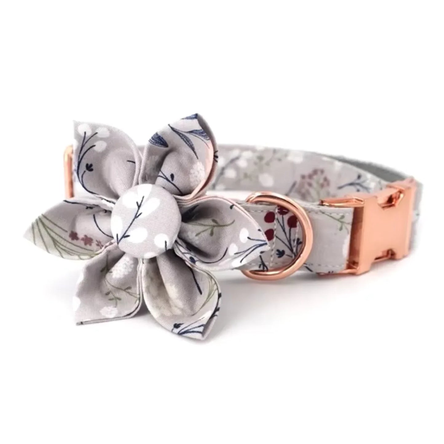 Large adjustable cat/ dog collar