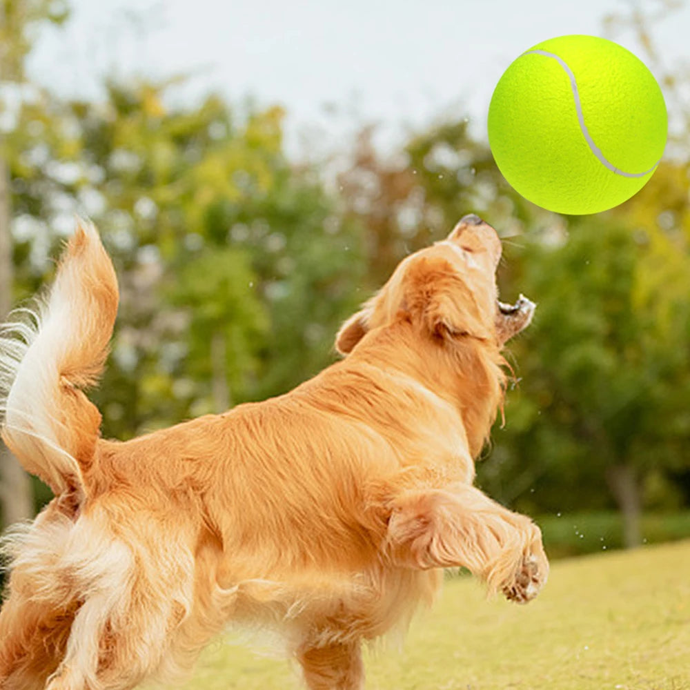 Oversize Inflatable Giant Tennis Ball with Pump