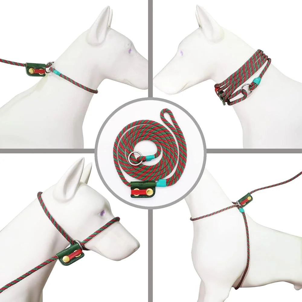 Multi Functional No Pull Harness