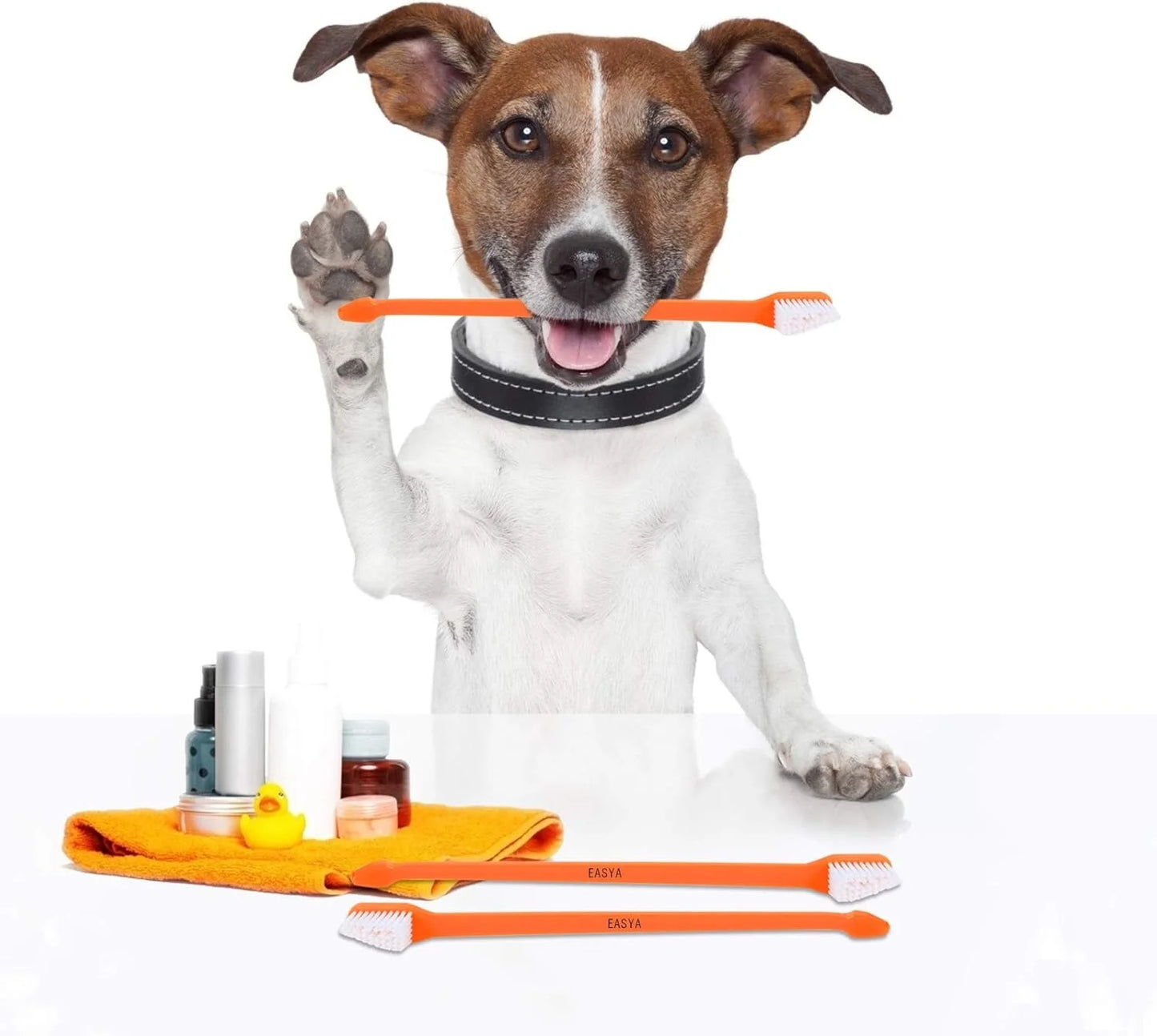 Double Headed Dog Toothbrush with Soft Bristles and Long Handle