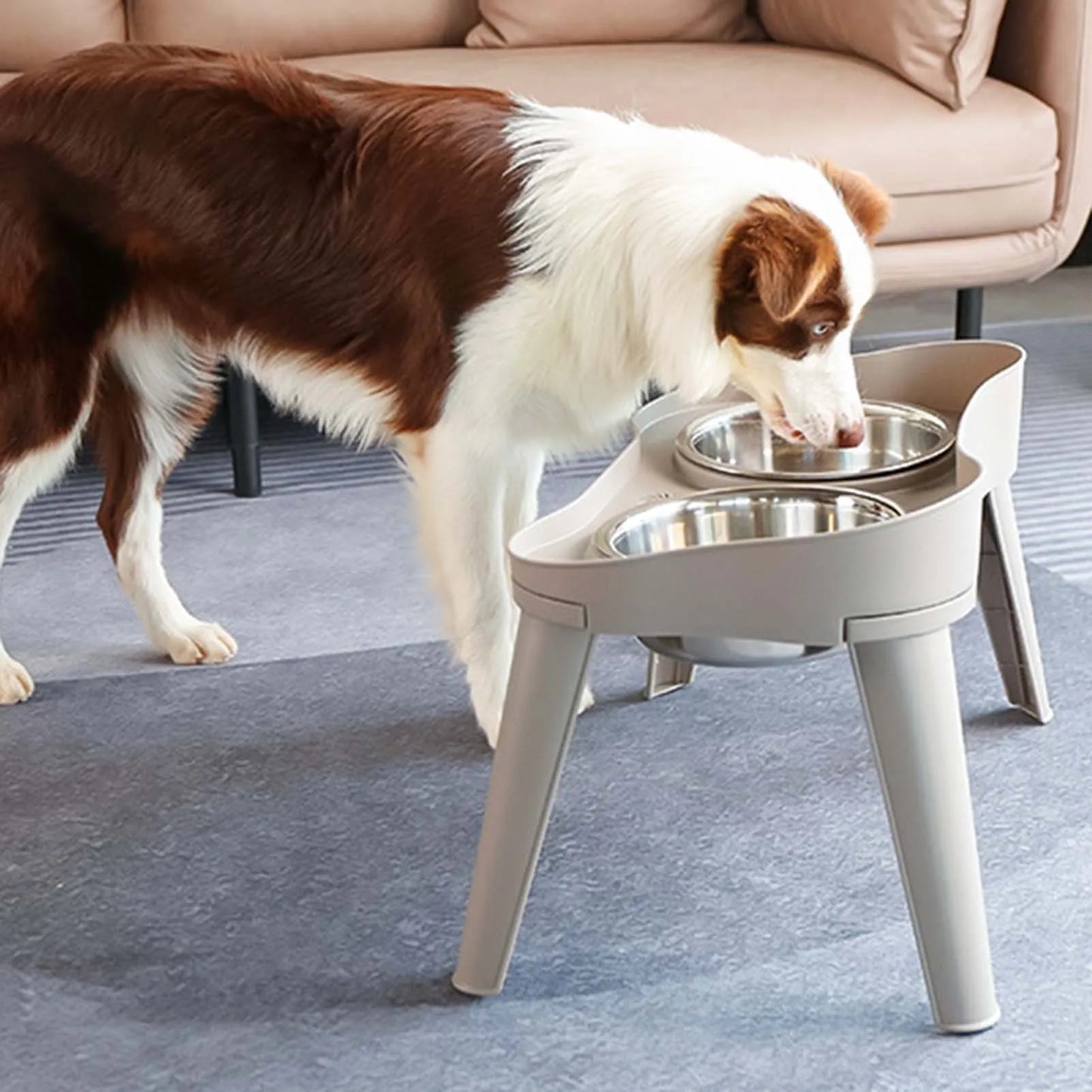 Elevated Non-Slip and No Spill Pet Feeder