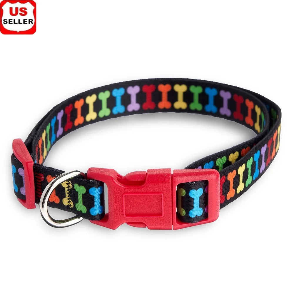 Multicolored Bone Print Dog Collar Adjustable and Easy Clean