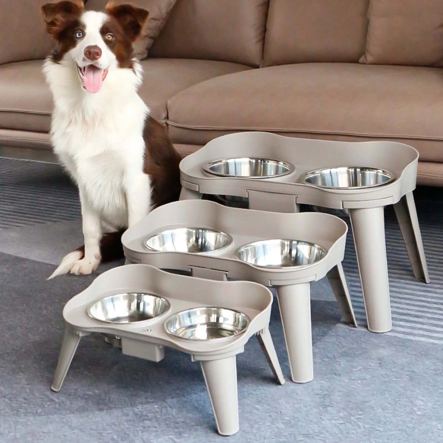 Elevated Non-Slip and No Spill Pet Feeder