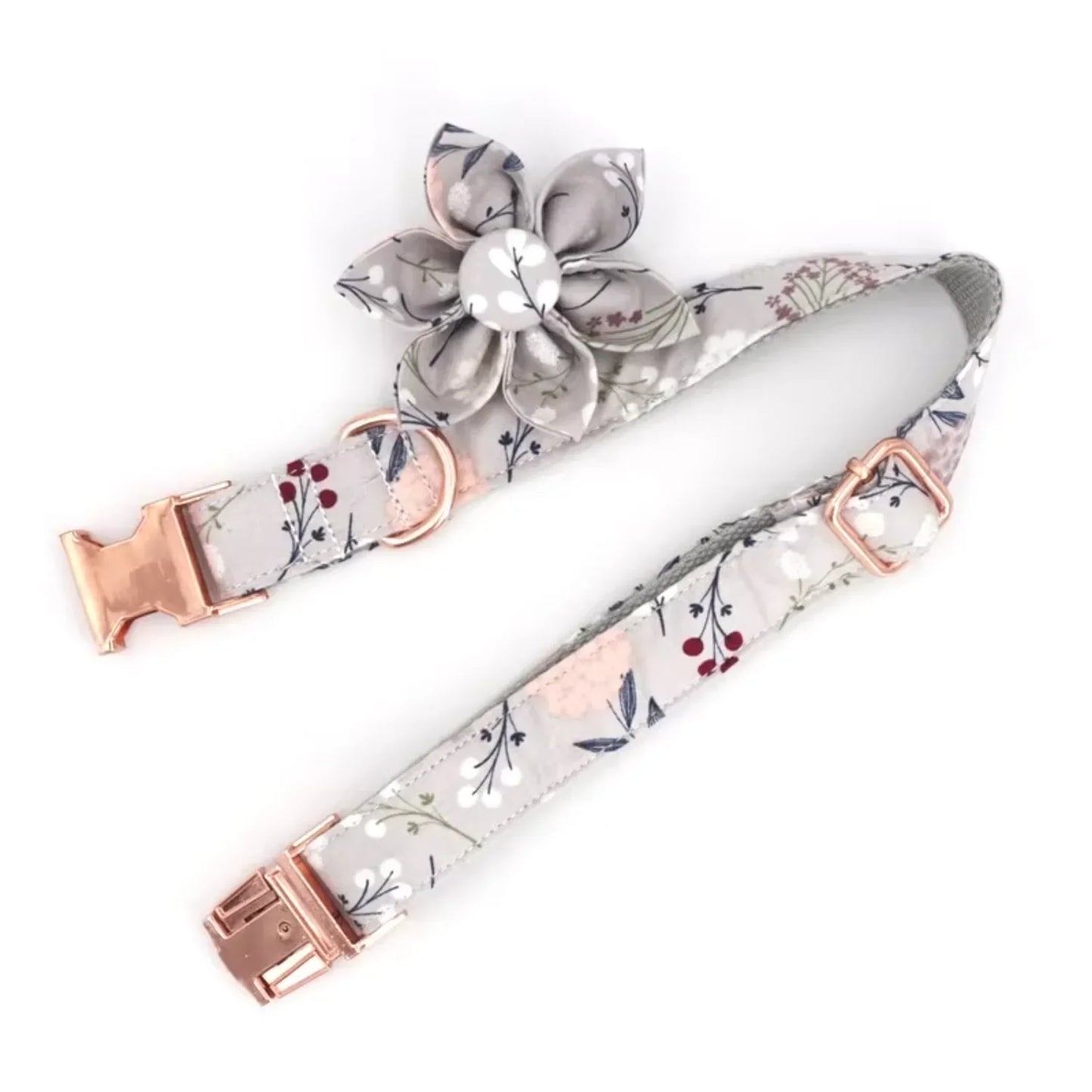 Large adjustable cat/ dog collar