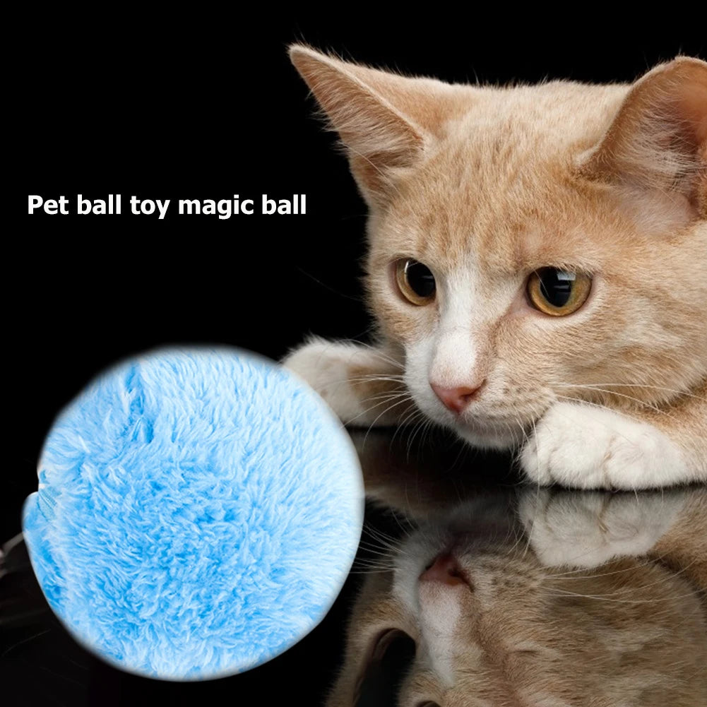Automatic 5pcs Electric Balls Battery Powered for Dog/Cat