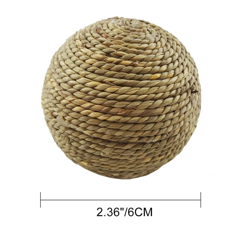 4PCS Interactive Pet Chew Toy
