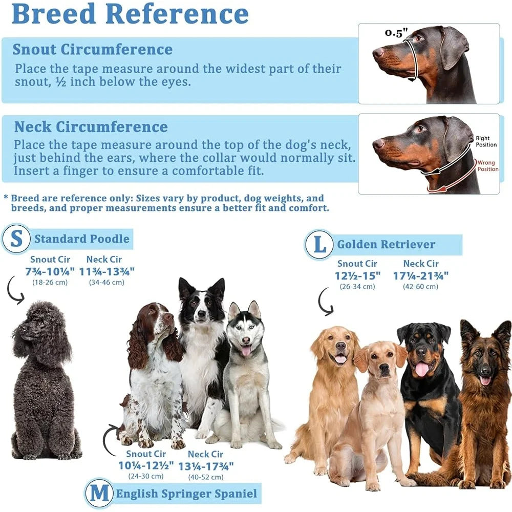 Anti-Pulling Harness with Leash