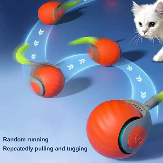 USB Rechargeable Interactive Cat Toy