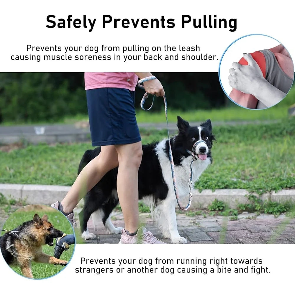 Anti-Pulling Harness with Leash