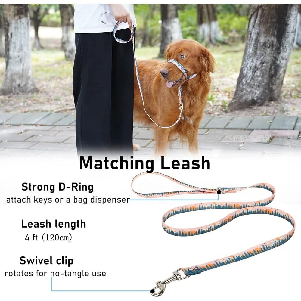 Anti-Pulling Harness with Leash
