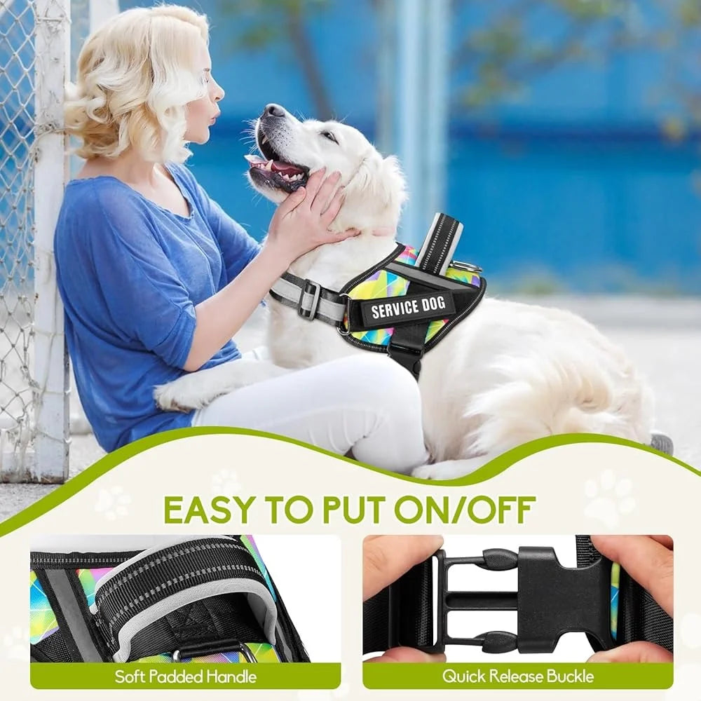 Service Dog Harness Leash Set