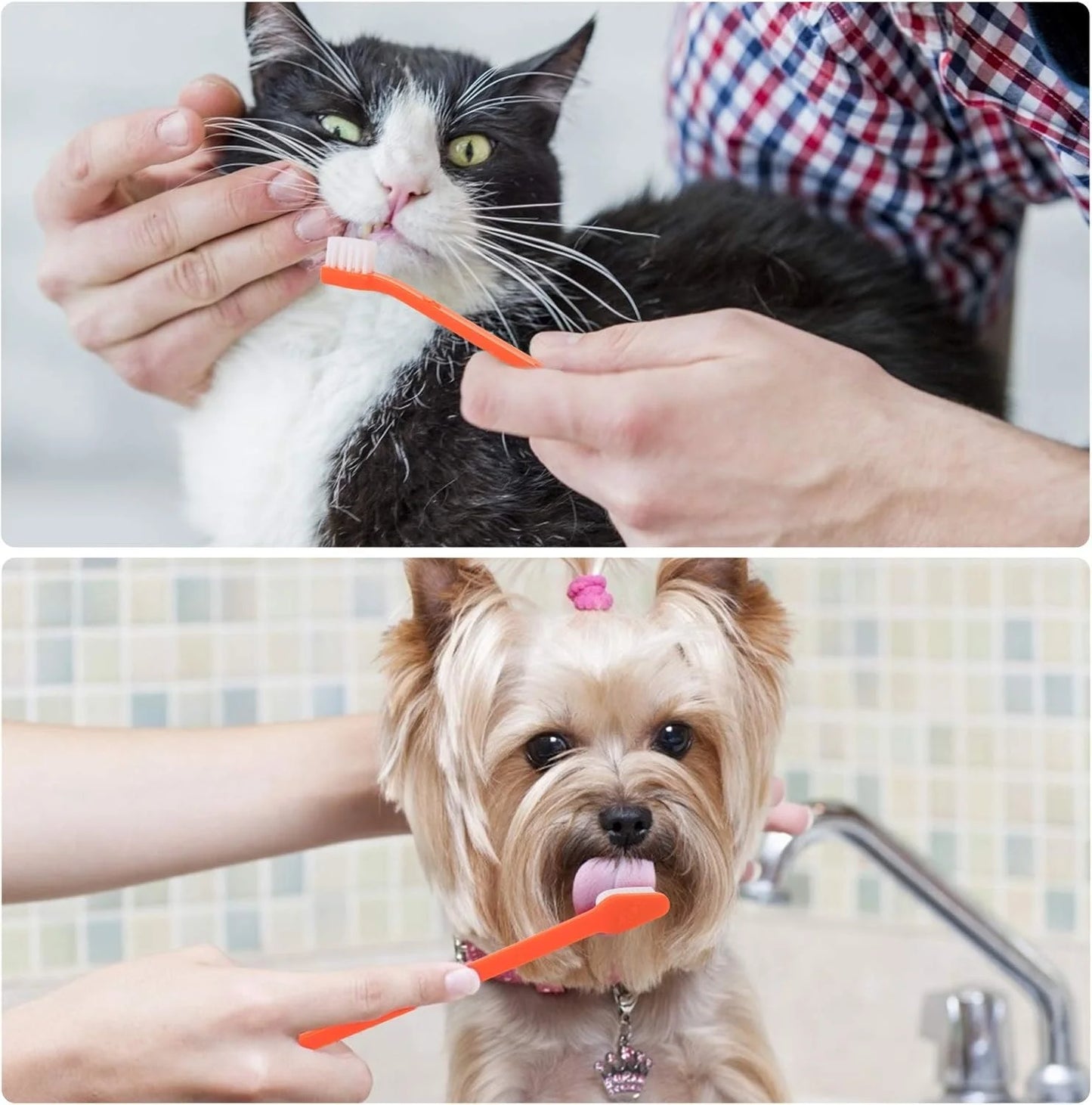 Double Headed Dog Toothbrush with Soft Bristles and Long Handle