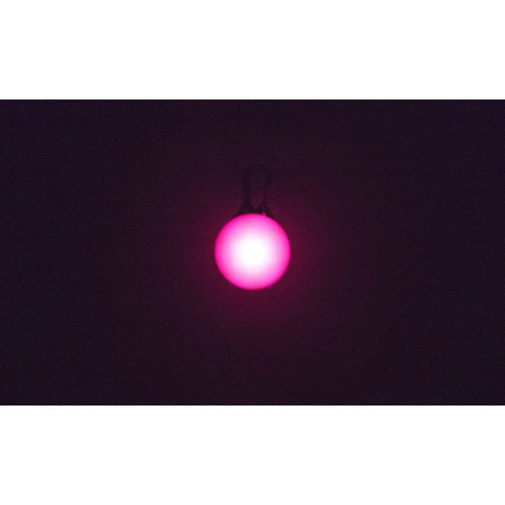 LED Light Visible Night Walking Safety Charm Dog Collar Multiple Colors