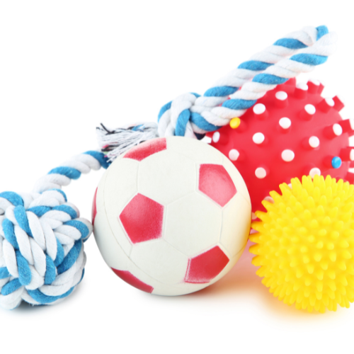 Interactive and Durable Pet Toys