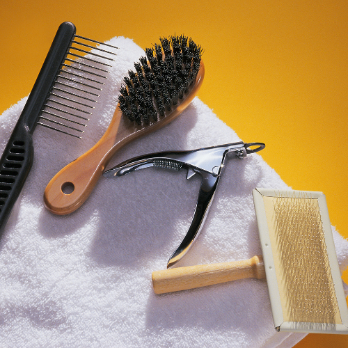 Specialized Grooming Tools